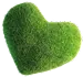 CV Gulf - Heart