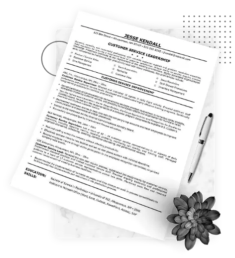 Professional CV Writing Service